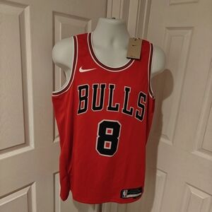 Authentic Zach Lavine Nike Bulls Icon Swingman Jersey NWT Size 48 L DN2000-657